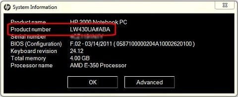 system info window.jpg