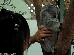 6078a3a6-47d4-4b90-a9ac-32addf4a819d.gif 6078a3a6-47d4-4b90-a9ac-32addf4a819d.gif