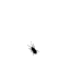 Fly.gif