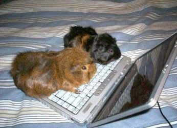 funny_computer_picture_15.jpg
