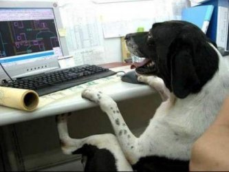 funny_computer_picture_7.jpg