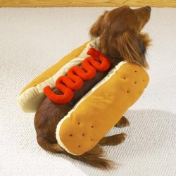 HOT DOG K.JPG