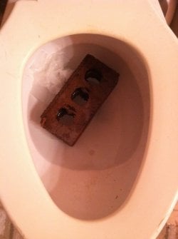 C2dp4.jpg