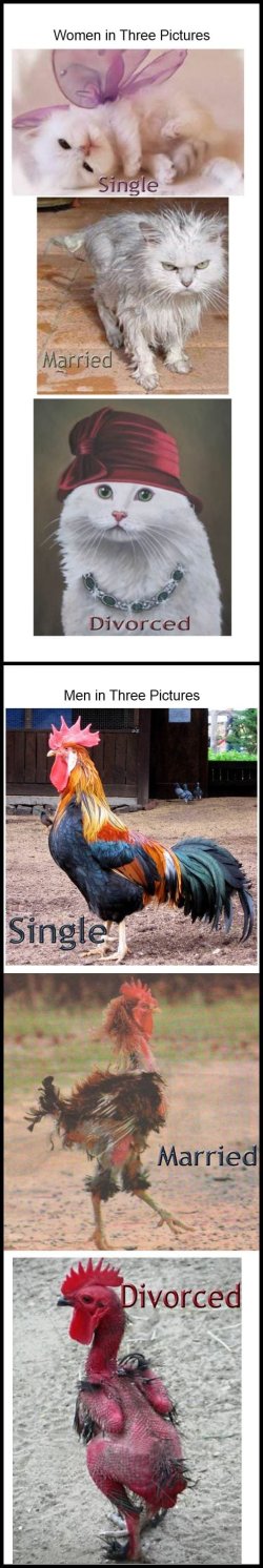 Stages.jpg