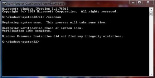 SFC.JPG