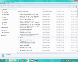 2012-10-08_083308 _ Prefetch in Recycle Bin.png