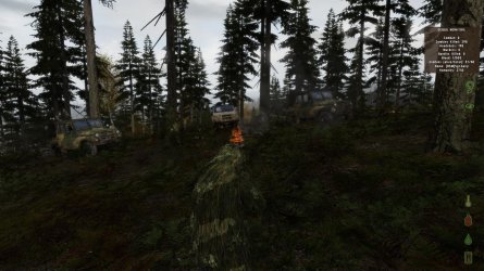 Zelengorsk.jpg