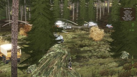 Camp.jpg
