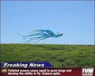 j3NWe.jpg