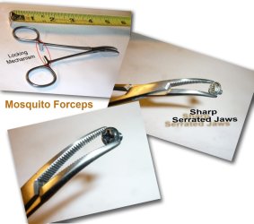 Mosquito forceps.JPG Mosquito forceps.JPG
