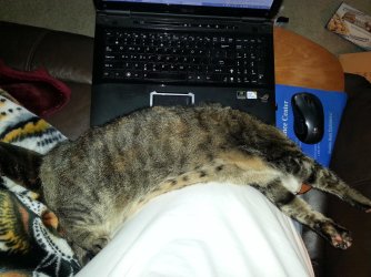 2013-01-16 21.33.51.jpg