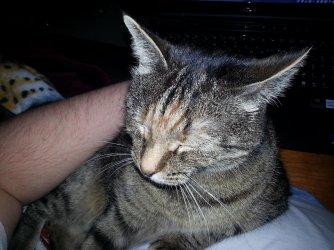 2013-01-16 21.15.01.jpg