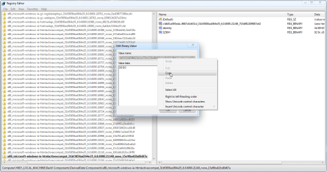 8. DerivedData String Paste.png