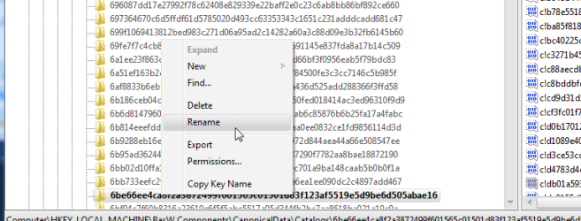 11. Catalog rename.png