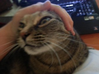 2013-01-16 21.15.34.jpg