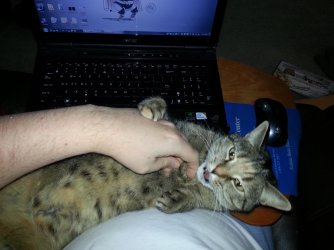 2013-01-16 21.14.40.jpg