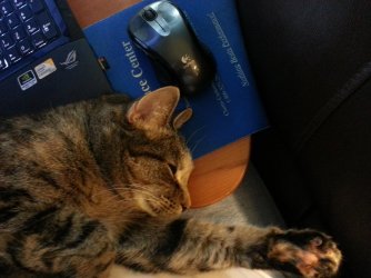 2013-01-16 21.34.16.jpg