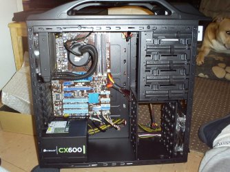S4030979.JPG