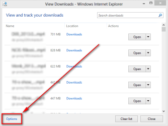 IE_Downloads_1.png