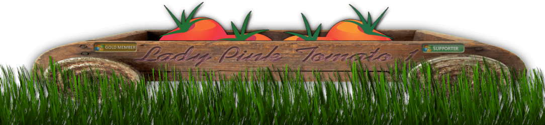 lptfull.png