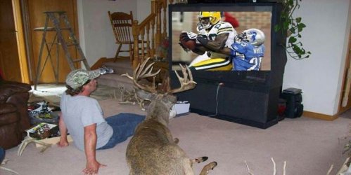 hunting_season.jpg