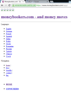MB website.png