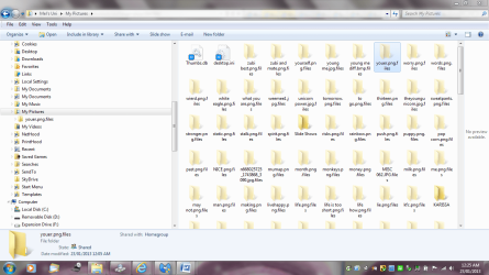 HIDDEN FOLDERS.PNG
