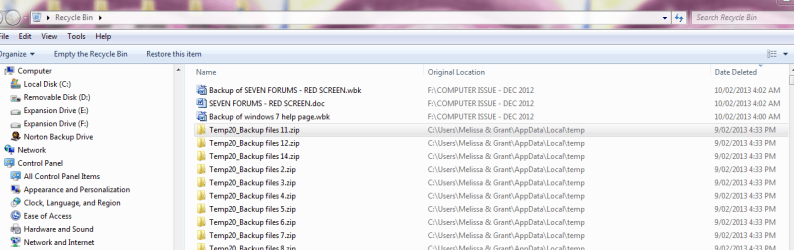 temp back up files - recycle bin.PNG