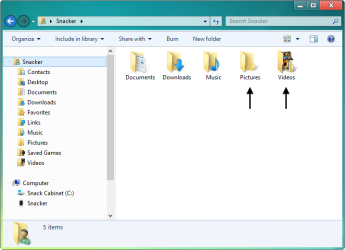Picture and Video Folders.png