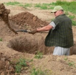 Mandigging.jpg Mandigging.jpg