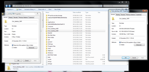 Windows bug.png