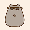 gangnam_style_cat.gif