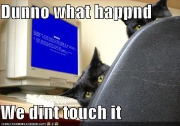 funny-pictures-cats-computer-blue-screen-death.jpg funny-pictures-cats-computer-blue-screen-death.jpg