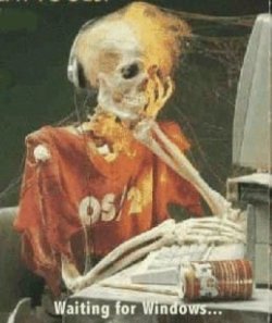 Waiting%20for%20Windows___.jpg