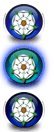 rose3.png rose3.png