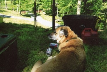 WoodyBeer.jpg