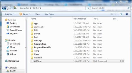 Capture C drive 1_25_13.JPG