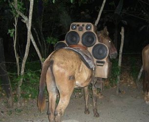 a98259_pack-mule_8-mcdonald.jpg