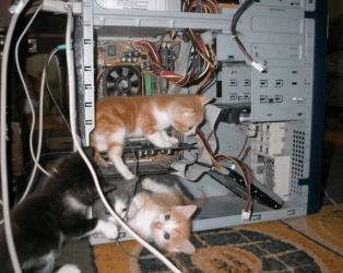 Cat 4 cabling just before Cat 5 or Cat 6.PNG