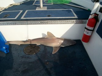 100_2843.JPG
