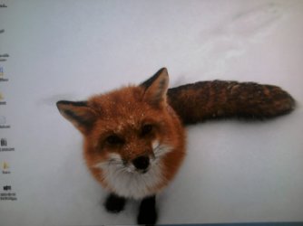 monitorDifference_foxNew.jpg