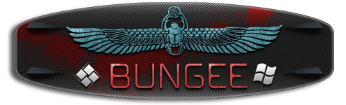 Bungee.png