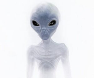 340.jpg