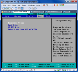 VM - BIOS Screen.png