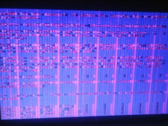 IMG00308-20130127-0148.jpg