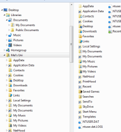 libraries - full.PNG