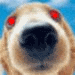 avatar80769_27.gif