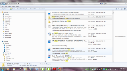 memeo 2013.PNG