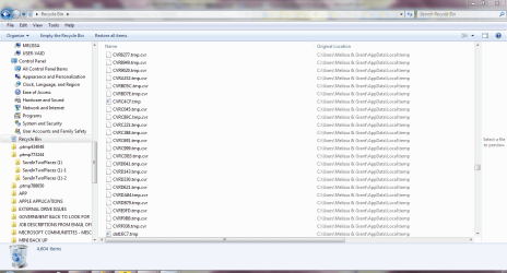 recycle bin 1.PNG