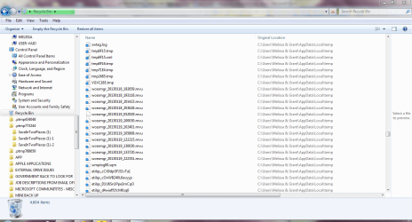 recycle bin 2.PNG